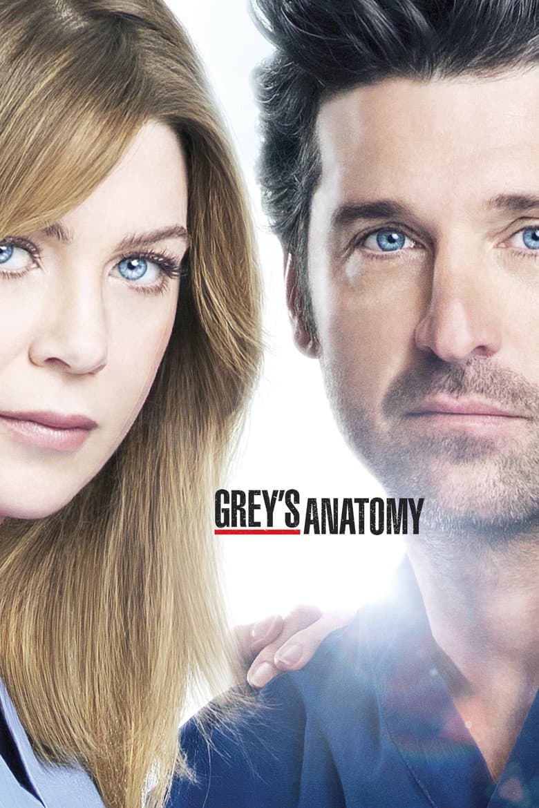 Grey's Anatomy — posters 6