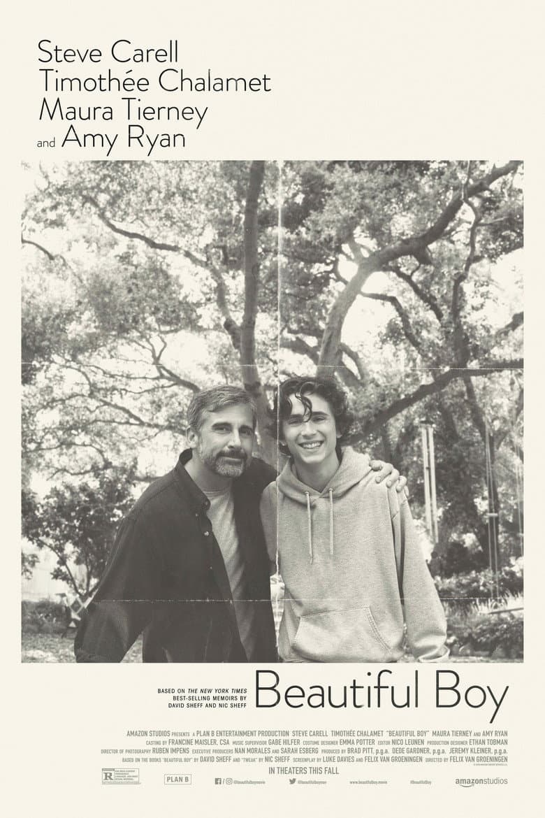 Beautiful Boy — posters 8