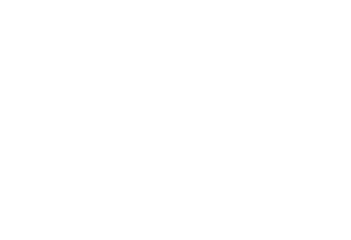 A Dog's Journey