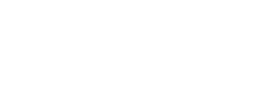 Hunt for the Wilderpeople