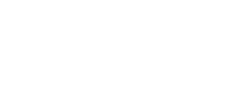 The Twilight Saga: New Moon
