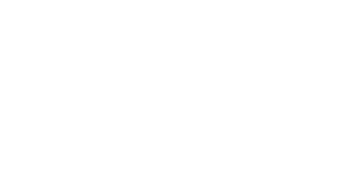 The Lovely Bones