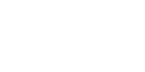The Sheep Detectives
